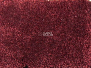 Ковролин Condor Carpets Bentley Bentley 236 фото 1 | FLOORDEALER